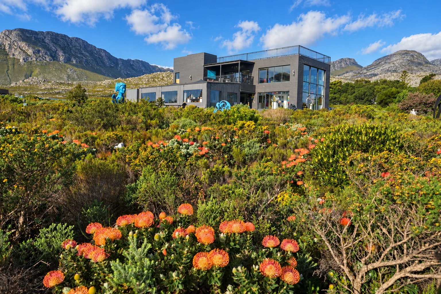 FoMo gallery in its fynbos and mountain setting